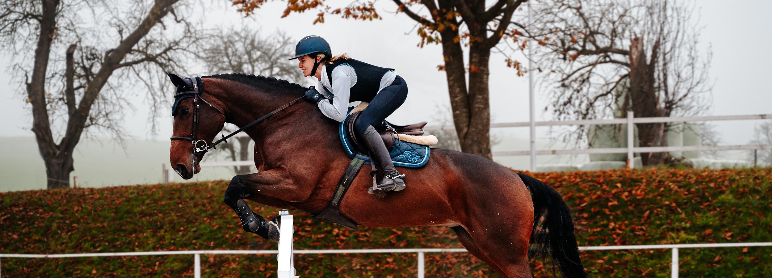 Reitsport Protektoren